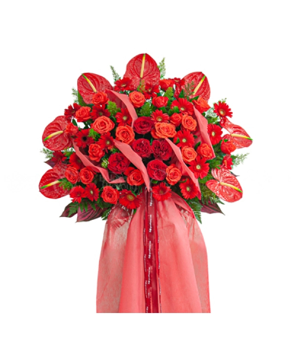 Cát Tài - belovedbeyond.com