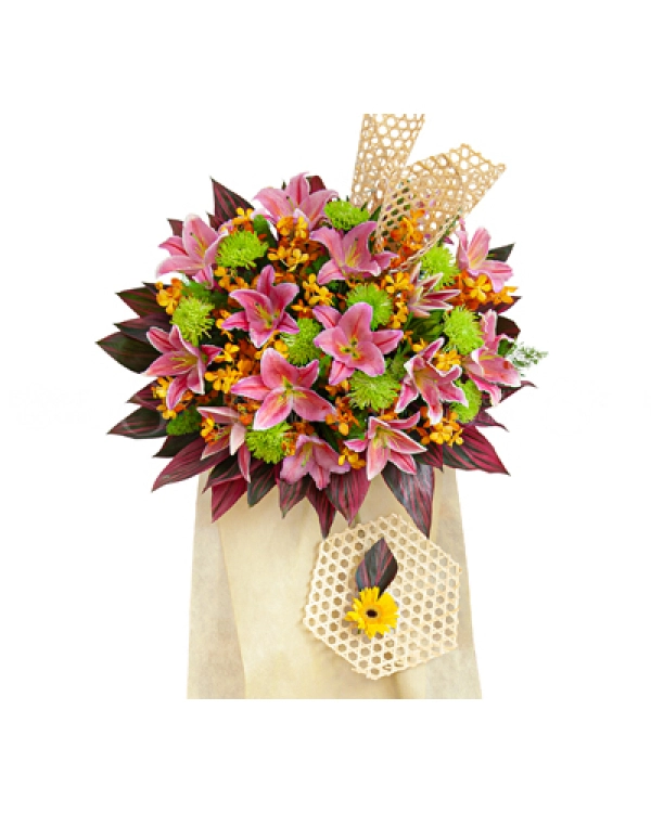 Sự Khởi Đầu - belovedbeyond.com