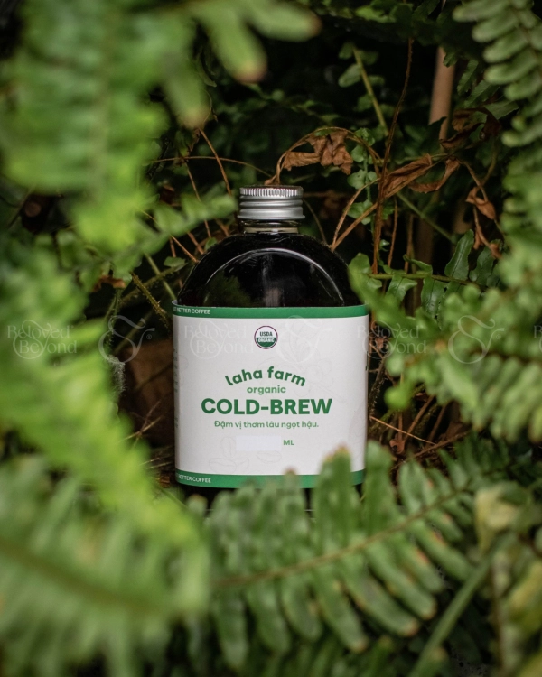 Cold Brew - belovedbeyond.com