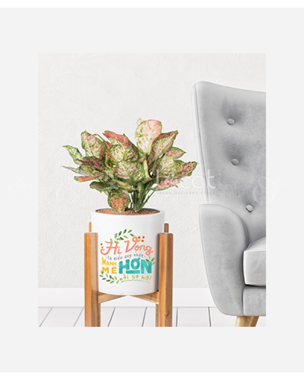 Hope - belovedbeyond.com