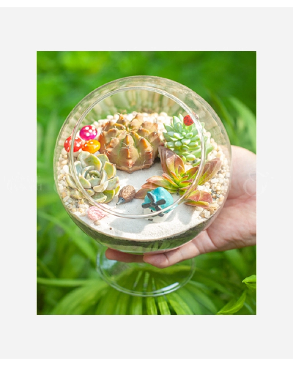 Happy Day 3 - belovedbeyond.com
