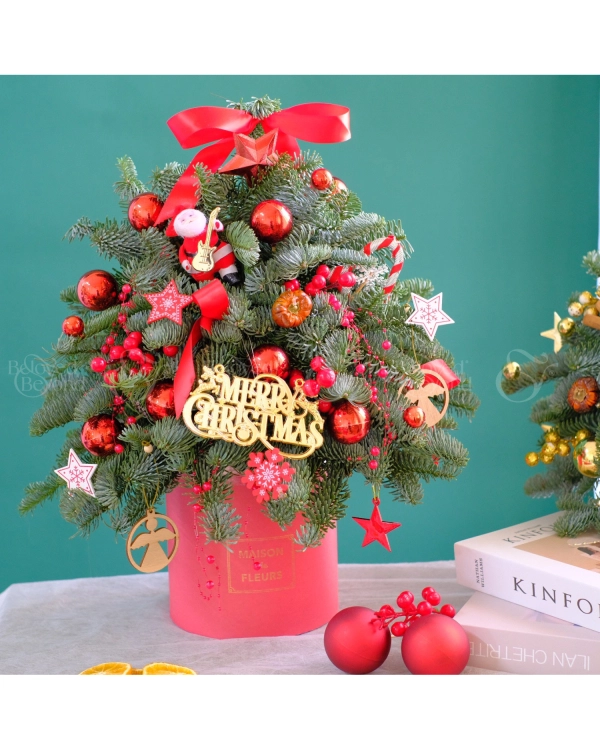 Thông Noel - Giáng Sinh - belovedbeyond.com