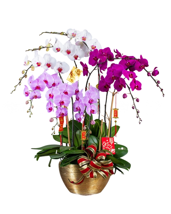 Phát Tài Phát Lộc - belovedbeyond.com
