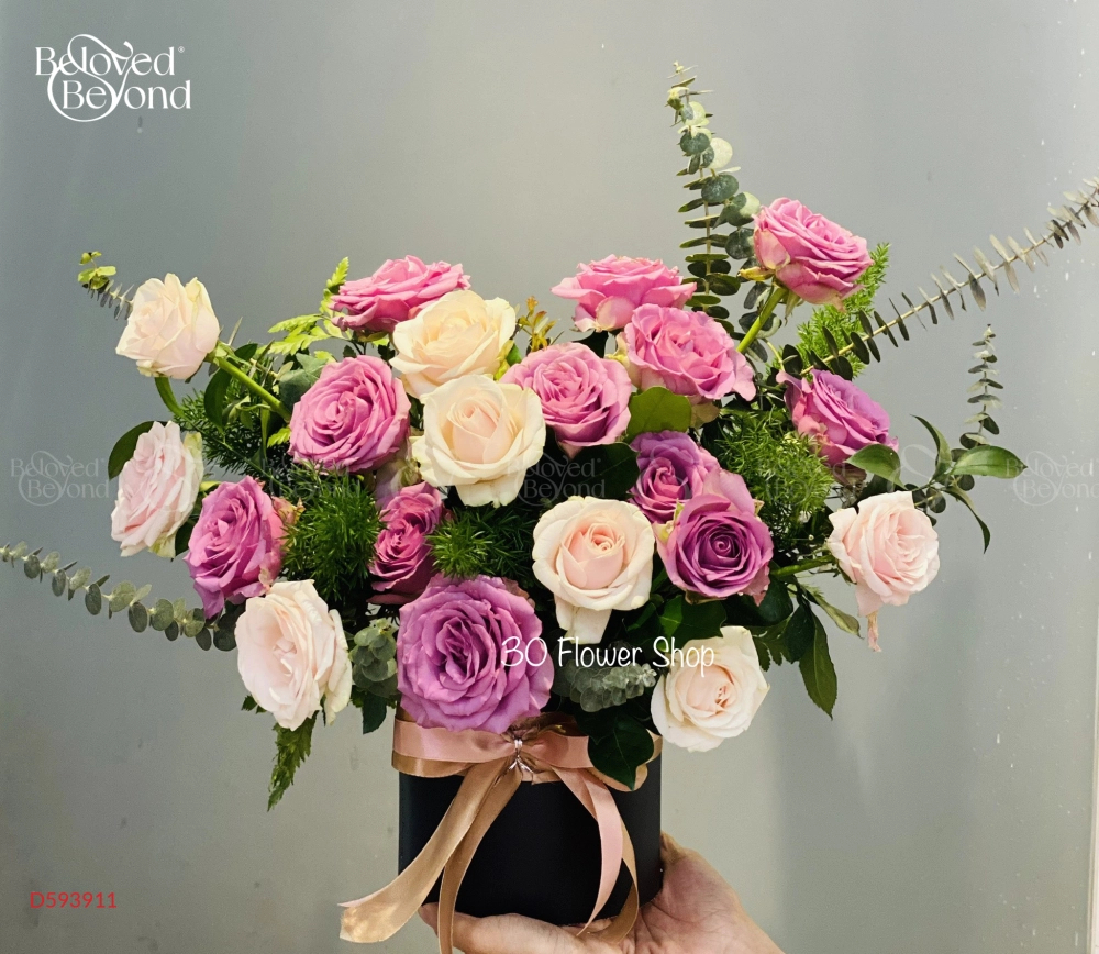 Hh-225 - belovedbeyond.com