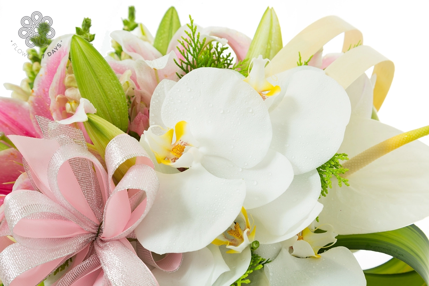 Một bình hoa hồ điệp trắng