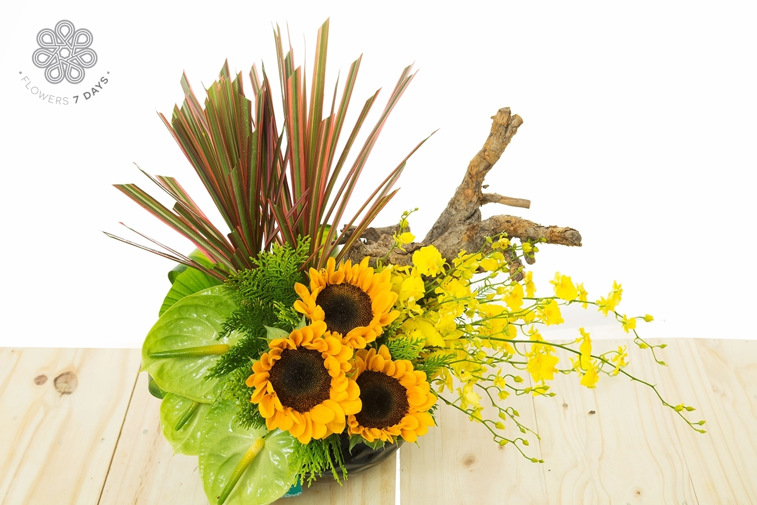 Nhìn về phía mặt trời