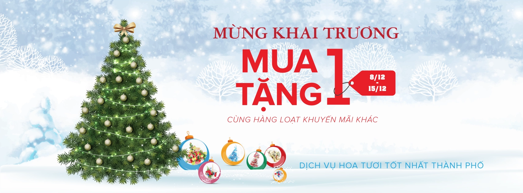 Hệ thống Hoa 7 Ngày, khai trương cửa hàng mới
