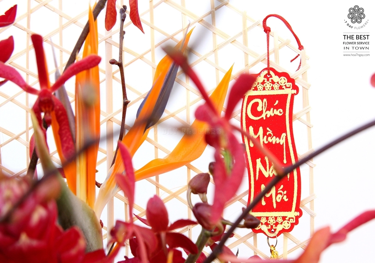 Những loài hoa Lan chơi tết cực sang chảnh!- Hoa 7 Ngày