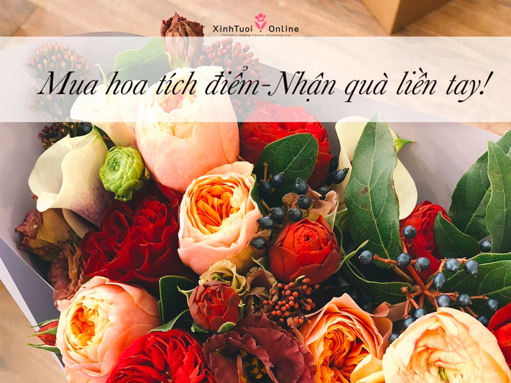 SÀN THƯƠNG MẠI ĐIỆN TỬ HOA DUY NHẤT TẠI VIỆT NAM- XINH TƯƠI ONLINE