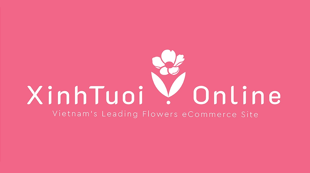 BỎ TÚI BÍ QUYẾT CHĂM SÓC HOA TƯƠI SIÊU DỄ