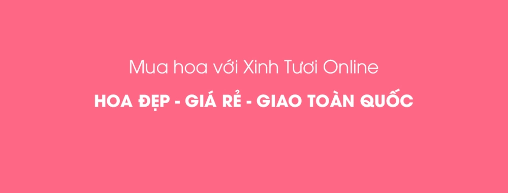 Mua hoa online, hoa đẹp, giá rẻ, giao toàn quốc