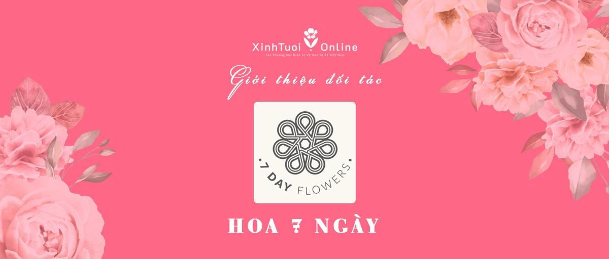 HOA 7 NGÀY - Hồ Chí Minh - Đối tác của XinhTuoi.Online