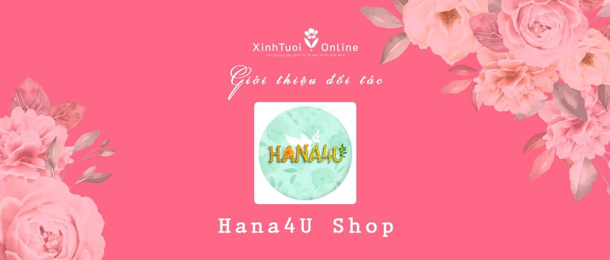 Hana4U - Hồ Chí Minh - Đối tác của XinhTuoi.Online