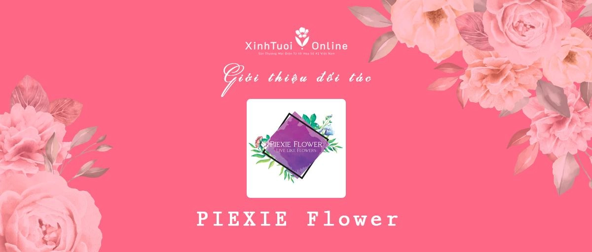 Piexie Flower Shop - Hồ Chí Minh - Đối tác của XinhTuoi.Online