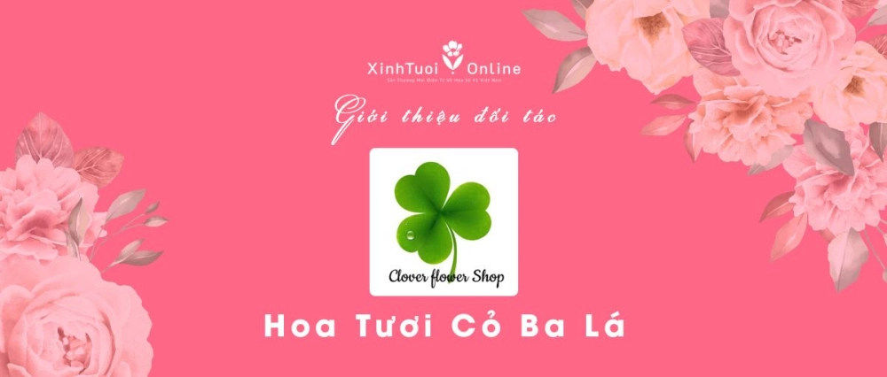 Cỏ Ba Lá - Hồ Chí Minh - Đối tác của XinhTuoi.Online