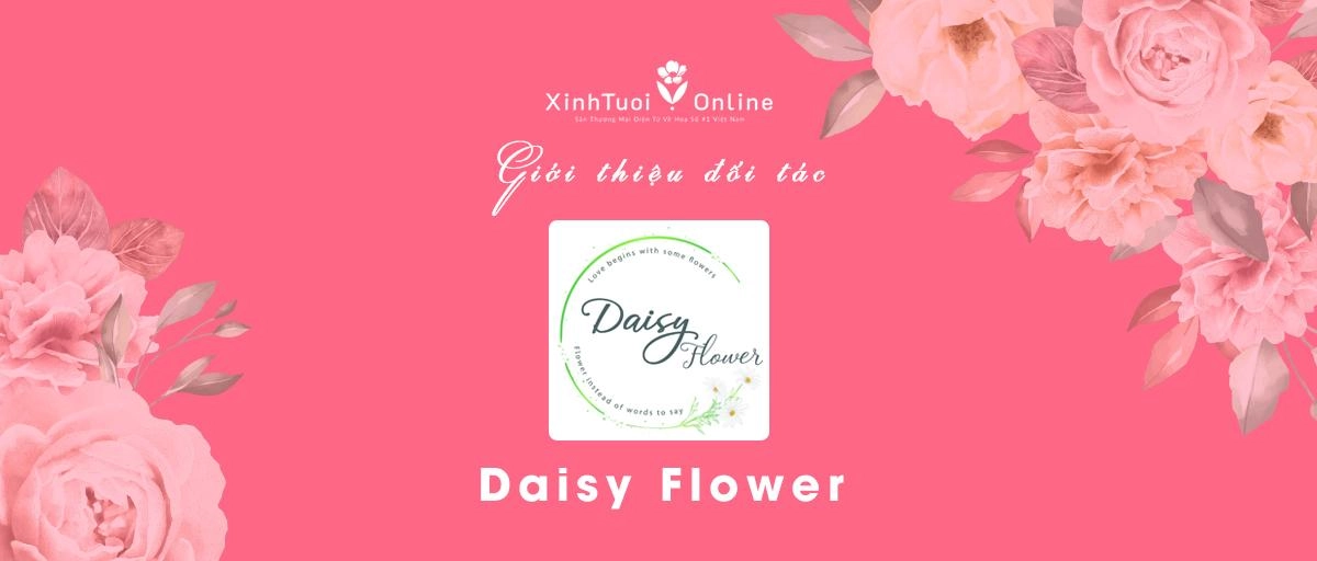 DAISY FLOWER - Hồ Chí Minh - Đối tác của XinhTuoi.Online