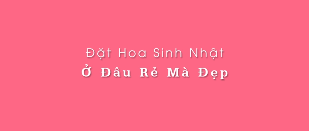 Hoa sinh nhật - món quà tình thân dành tặng người thân, bạn bè, đồng nghiệp yêu quý