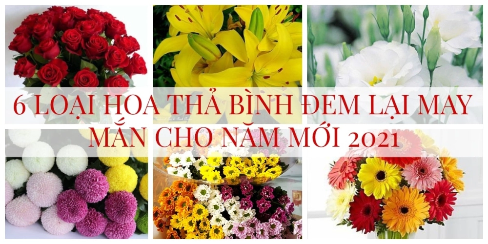 6 Loại hoa thả bình trên bàn thờ gia tiên ngày Tết