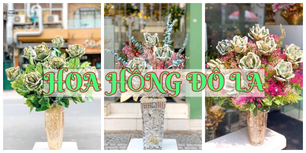 Hoa hồng đô la