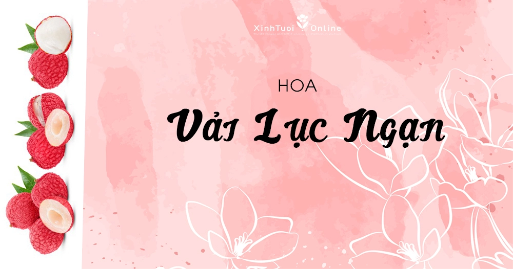 CÙNG XINHTUOI.ONLINE CHUNG TAY GIẢI CỨU VẢI THIỀU BẮC GIANG