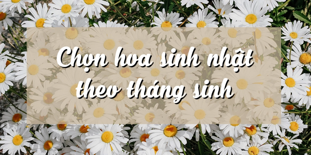 BÍ QUYẾT LỰA CHỌN HOA SINH NHẬT THEO THÁNG SINH