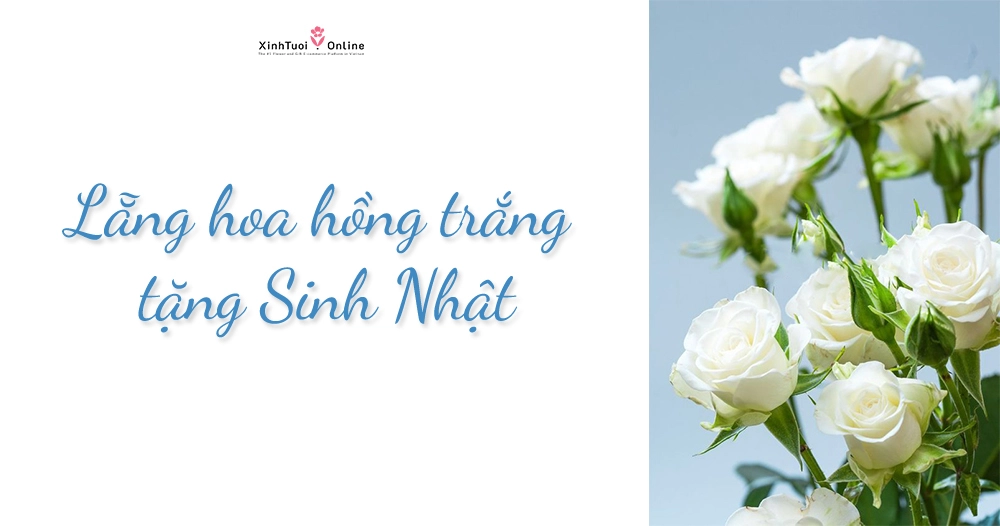 LẴNG HOA HỒNG TRẮNG TẶNG SINH NHẬT