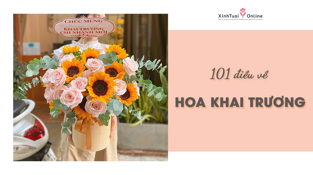 101 ĐIỀU CẦN BIẾT VỀ HOA MỪNG KHAI TRƯƠNG
