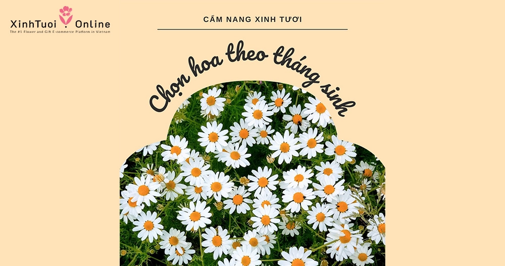 CẨM NANG CHỌN HOA THEO THÁNG SINH