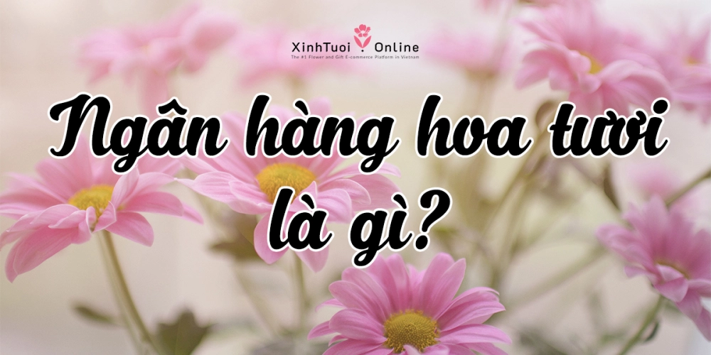 Bật mí Ngân hàng hoa tươi đầu tiên tại Việt Nam