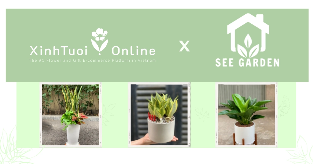 Xinh Tươi Online x See Garden | Kiến tạo không gian sống xanh