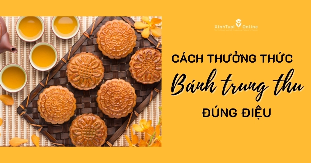 ĂN BÁNH TRUNG THU THẾ NÀO CHO ĐÚNG ĐIỆU?