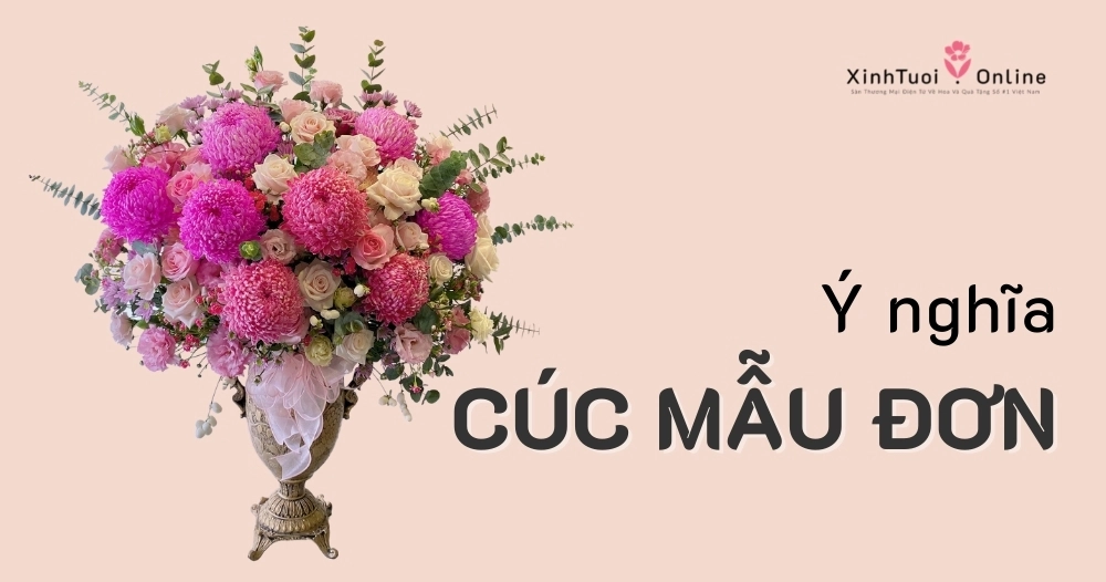 CÚC MẪU ĐƠN - GỬI GẮM NIỀM HẠNH PHÚC VIÊN MÃN