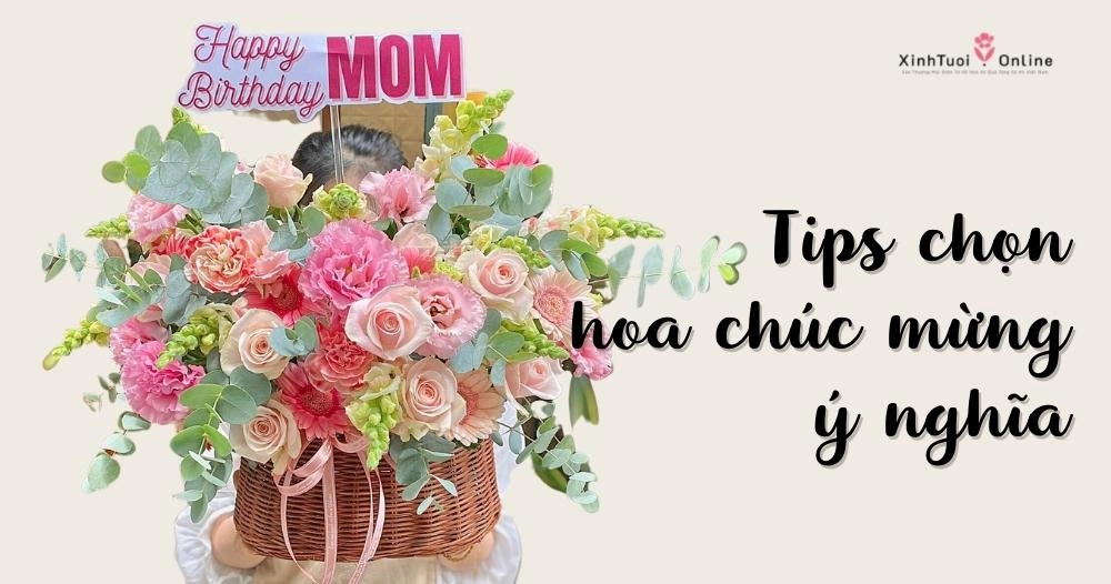 BỎ TÚI TIP CHỌN HOA CHÚC MỪNG ĐẸP VÀ Ý NGHĨA