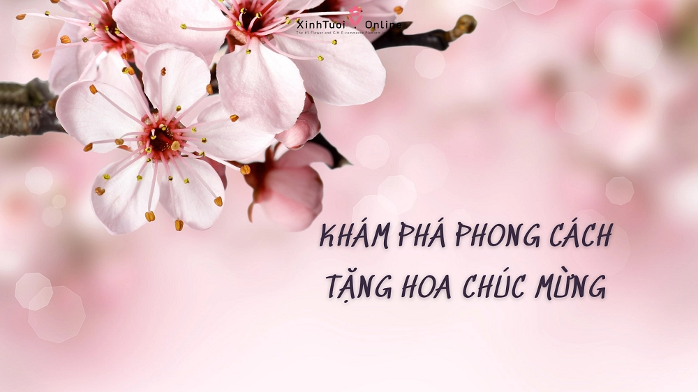DẠO QUANH THẾ GIỚI KHÁM PHÁ PHONG CÁCH TẶNG HOA CHÚC MỪNG