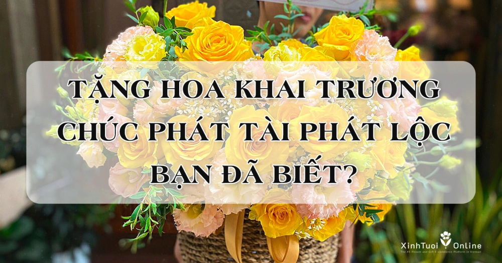 CÁCH TẶNG HOA KHAI TRƯƠNG HỢP MỆNH GIA CHỦ CẦU CHÚC PHÁT TÀI