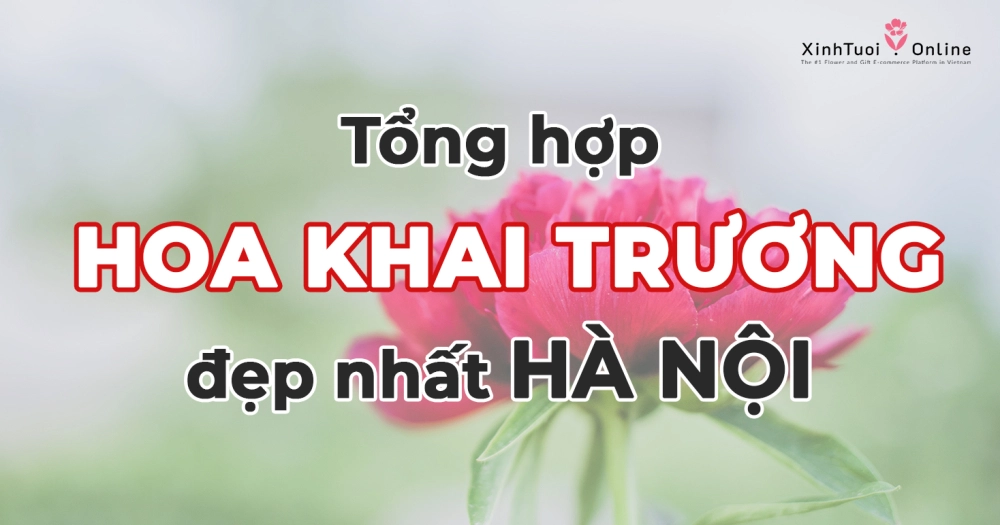 Tổng hợp mẫu hoa khai trương đẹp nhất Hà Nội