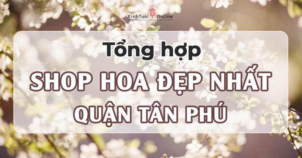 HOA SINH NHẬT ĐẸP GIAO NHANH TẠI QUẬN TÂN PHÚ