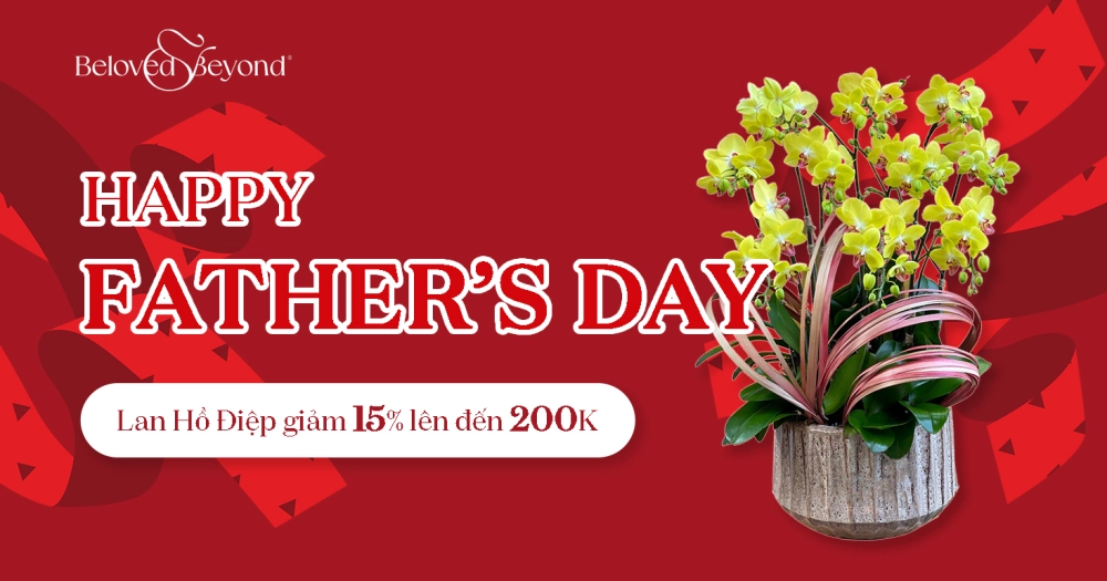 TRI ÂN NGÀY CỦA CHA 19/06 - LAN HỒ ĐIỆP GIẢM 15% LÊN ĐẾN 200K