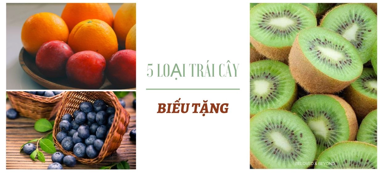SO SÁNH CHẤT LƯỢNG CỦA 5 LOẠI TRÁI CÂY THƯỜNG ĐƯỢC DÙNG BIẾU TẶNG.