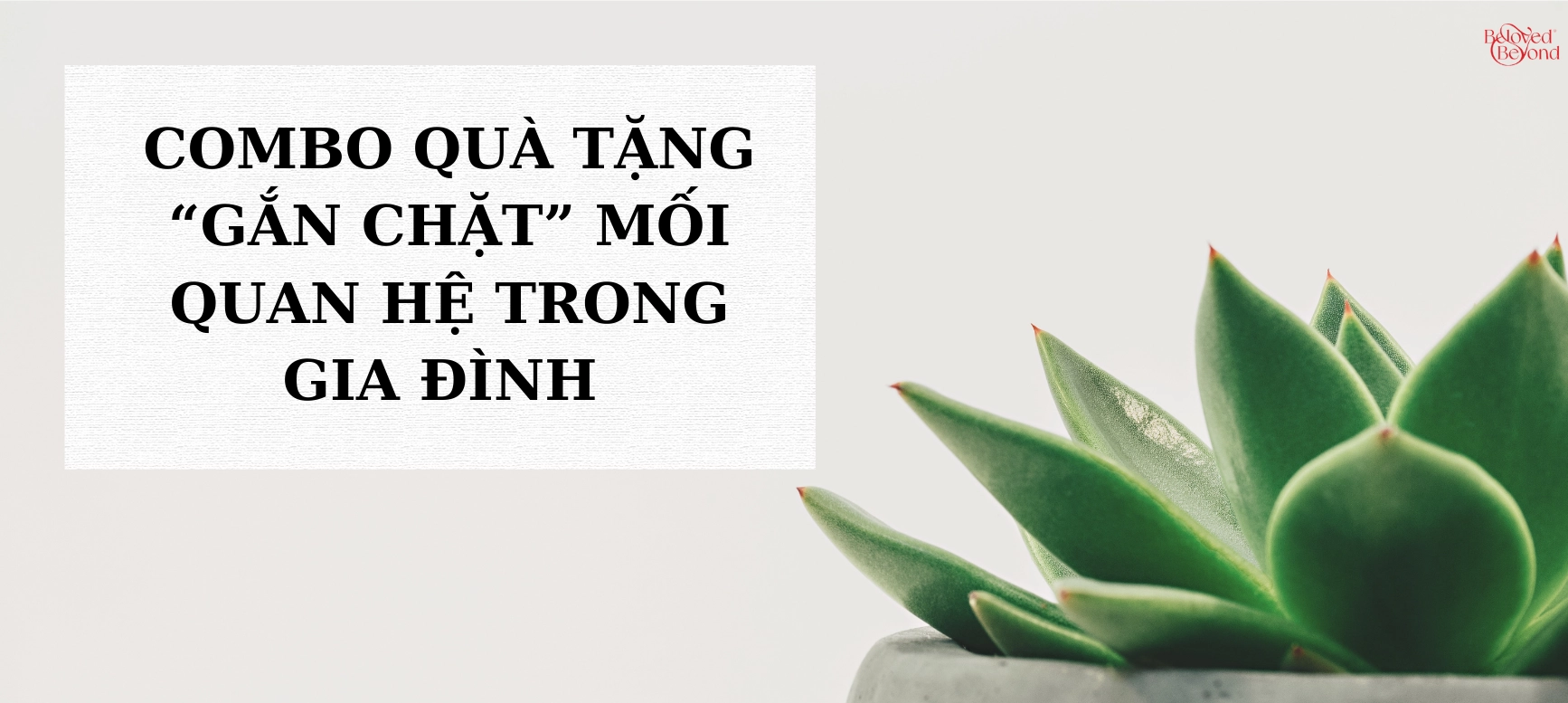 COMBO QUÀ TẶNG “GẮN CHẶT” MỐI QUAN HỆ TRONG GIA ĐÌNH