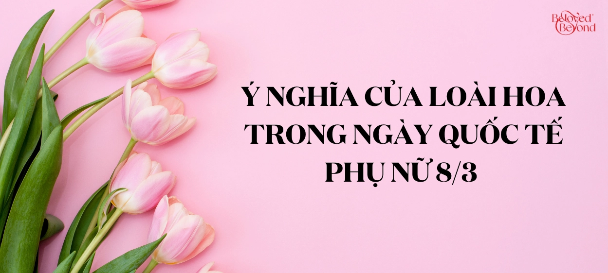 Ý NGHĨA CỦA LOÀI HOA TRONG NGÀY QUỐC TẾ PHỤ NỮ 8/3