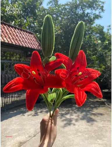 Hoa Kẽm Nhung Màu Đỏ - belovedbeyond.com