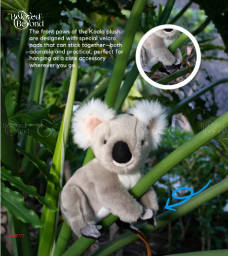 Gấu Koala // Gấu Túi - Tay Dán - 8 Inches - belovedbeyond.com
