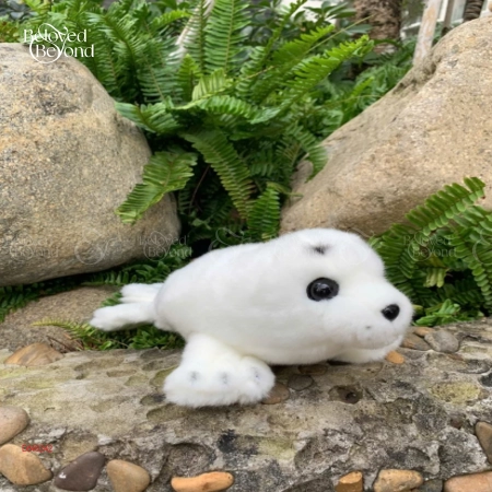 Hải Cẩu - Grey Sea Lion - 15 Inches / Xám - belovedbeyond.com