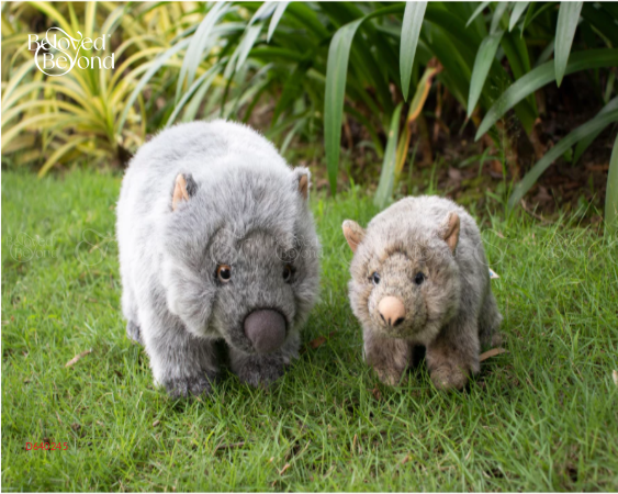 Thú Nhồi Bông Mô Phỏng Wombat/Gấu Túi Mũi Trần - belovedbeyond.com