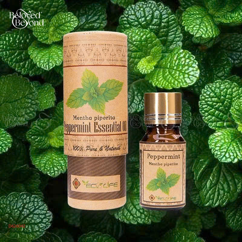 Tinh Dầu Bạc Hà – Peppermint Essential Oil - belovedbeyond.com