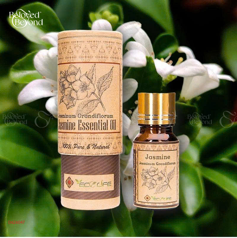 Tinh Dầu Hoa Nhài – Jasmine Essential Oil - belovedbeyond.com