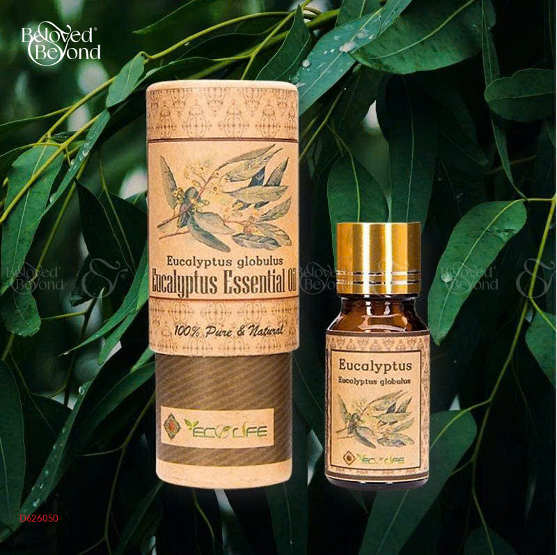 Tinh Dầu Khuynh Diệp – Eucalyptus Essentia - belovedbeyond.com