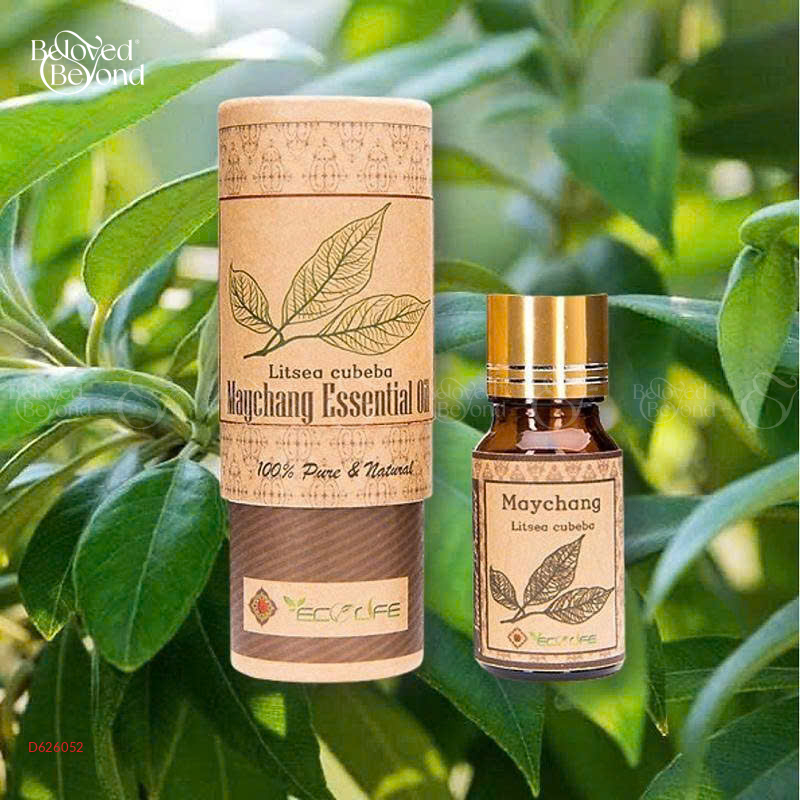 Tinh Dầu Màng Tang – Maychang Essential Oil - belovedbeyond.com