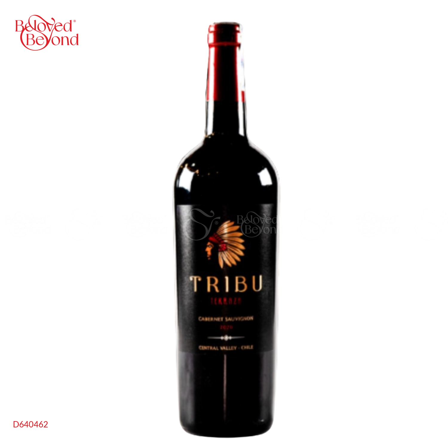 Tribu Terraza - belovedbeyond.com